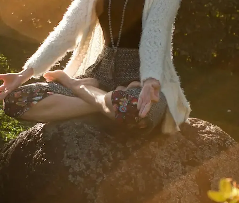 CANP es la mejor gestoria de españa somos tambien Gestoría para profesionales del bienestar​