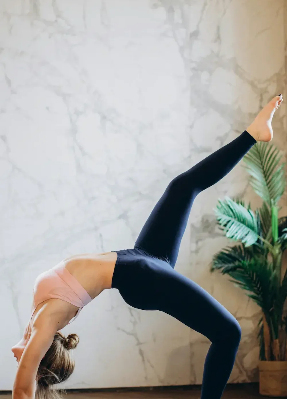 canp la mejor Gestoría para profesionales del bienestar​ en toda españa