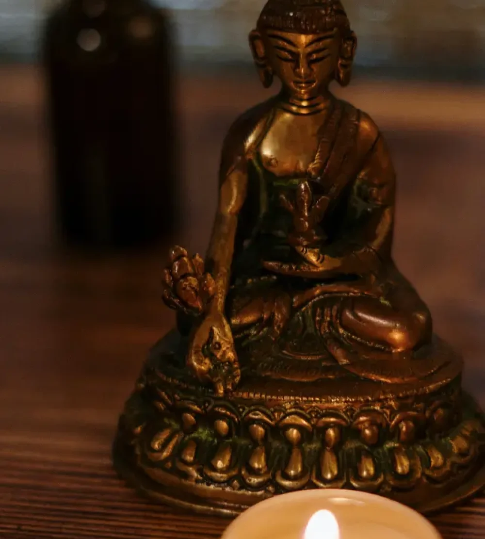 canp somos tu Gestoría para profesionales del bienestar​