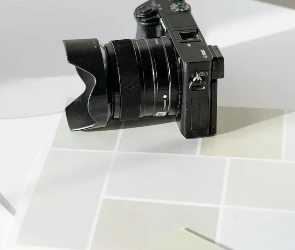 Gestoría para artistas y creativos​ confia en canp